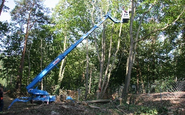 Baumschnitt - Baum schneiden - Baum fällen 22926 Ahrensburg
22923 Ahrensburg
22922 Ahrensburg
22949 Ahrensburg - Lottbek
Baumschnitt Ammersbek - Bünningstedt
22926 Ammersbek
22927 Großhansdorf
22941 Delingsdorf
22949 Ammersbek - Rehagen
22949 Ammersbek - Schäferdresch
Baumschnitt Ammersbek - Siedlung Daheim-Heimgarten
22949 Ammersbek - Bramkamp
22949 Ammersbek Baum schneiden Hoisbüttel
22359 Hamburg - Volksdorf
22962 Hoisdorf - Siek
22941 Bargteheide
22962 Siek
22962 Siek Baum schneiden Meilsdorf
22949 Ammersbek - Lottbek
22955 Hoisdorf
22952 Hoisdorf - Lütjensee
22145 Braak
Baumschnitt Jersbek
22145 Stapelfeld
22941 Hammoor
22961 Hoisdorf - Oetjendorf
22395 Hamburg Baum schneiden Bergstedt
22359 Hamburg - Bergstedt
22946 Brunsbek - Papendorf
22395 Hamburg - Wohldorf-Ohlstedt
22397 Hamburg Baum schneiden Wohldorf-Ohlstedt
22965 Todendorf
Baumschnitt Brunsbek - Langelohe
22889 Tangstedt - Wiemerskamp
22391 Hamburg - Sasel
22159 Hamburg Baumschnitt Sasel
22395 Hamburg Baum schneiden Sasel
22393 Hamburg - Sasel
22885 Barsbüttel - Stellau
22967 Tremsbüttel
22149 Hamburg - Rahlstedt
22359 Hamburg - Rahlstedt
22143 Hamburg Baumschnitt Rahlstedt
22145 Hamburg Baum schneiden Rahlstedt
22147 Hamburg - Rahlstedt
22946 Brunsbek
22952 Lütjensee
22946 Großensee
22946 Brunsbek - Kronshorst
23869 Elmenhorst
22397 Hamburg - Duvenstedt
23863 Bargfeld-Stegen
22889 Tangstedt - Wulksfelde
22889 Tangstedt - Rade
22885 Barsbüttel
22399 Hamburg - Lemsahl-Mellingstedt
22397 Hamburg - Lemsahl-Mellingstedt
22885 Barsbüttel - Stemwarde
22889 Tangstedt - Ehlersberg
22391 Hamburg - Wellingsbüttel
22393 Hamburg Baum schneiden Wellingsbüttel
22159 Hamburg - Farmsen-Berne
22929 Rausdorf
22145 Hamburg - Farmsen-Berne
23847 Lasbek
23863 Kayhude
22391 Hamburg - Poppenbüttel
22399 Hamburg Baum fällen Poppenbüttel
22395 Hamburg - Poppenbüttel
22393 Hamburg Baum schneiden Poppenbüttel
22885 Barsbüttel Baum fällen Willinghusen
23863 Nienwohld
23843 Neritz
22889 Tangstedt
22047 Hamburg - Tonndorf
22045 Hamburg Baum schneiden Tonndorf
22041 Hamburg - Tonndorf
22043 Hamburg Baum fällen Tonndorf
Baum schneiden Hamburg - Tonndorf
22159 Hamburg - Tonndorf
22967 Rümpel - Tremsbüttel
22956 Grönwohld
22964 Steinburg
22309 Hamburg - Bramfeld
22175 Hamburg - Bramfeld
22159 Hamburg - Bramfeld
22177 Hamburg - Bramfeld
22047 Hamburg Baum schneiden Bramfeld
22391 Hamburg - Bramfeld
22179 Hamburg - Bramfeld
22393 Hamburg Baum fällen Bramfeld
22045 Hamburg - Jenfeld
22043 Hamburg - Jenfeld
22952 Steinburg Baum fällen Lütjensee
22946 Grande
23867 Sülfeld
22969 Witzhave
22946 Trittau
23845 Grabau
21509 Glinde
22929 Schönberg
23843 Pölitz - Rümpel
23843 Rümpel
22885 Glinde
23867 Sülfeld - Tönningstedt
22889 Tangstedt - Wilstedt
22177 Hamburg - Steilshoop
22309 Hamburg Baum Steilshoop
Baum schneiden Hamburg - 
22034 Hamburg - 
22035 Hamburg - 
Baum fällen Hamburg - 
22037 Hamburg - 
22033 Hamburg - 
22038 Hamburg Baum schneiden 
22036 Hamburg - 
22039 Hamburg - 
21521 Reinbek - Aumühle
21521 Reinbek - Bismarckquelle
23866 Nahe
22339 Hamburg - Hummelsbüttel
Baum schneiden Hamburg - Hummelsbüttel
22417 Hamburg - Hummelsbüttel
22391 Hamburg Baum schneiden Hummelsbüttel
22415 Hamburg - Hummelsbüttel
22889 Tangstedt - Wilstedt-Siedlung
22851 Norderstedt - Glashütte
23847 Pölitz
22113 Oststeinbek
21509 Oststeinbek - Glinde
22958 Kuddewörde
23845 Itzstedt
23845 Sülfeld - Borstel
22309 Hamburg - Ohlsdorf
22335 Hamburg - Ohlsdorf
22337 Hamburg - Ohlsdorf
22391 Hamburg - Ohlsdorf
22089 Hamburg - Wandsbek
22049 Hamburg Baum schneiden Wandsbek
22047 Hamburg - Wandsbek
22041 Hamburg - Wandsbek
23847 Stubben
24558 Wakendorf II
22307 Hamburg Baum schneiden Barmbek-Nord
Baum schneiden Hamburg - Barmbek-Nord
22297 Hamburg Baum schneiden Barmbek-Nord
22309 Hamburg - Barmbek-Nord
22305 Hamburg - Barmbek-Nord
22049 Hamburg - Dulsberg
22089 Hamburg - Marienthal
23843 Travenbrück - Vinzier
22041 Hamburg - Marienthal
22043 Hamburg - Marienthal
22335 Hamburg Baum schneiden Fuhlsbüttel
22415 Hamburg - Fuhlsbüttel
22339 Hamburg Baum schneiden Fuhlsbüttel
22453 Hamburg - Fuhlsbüttel
22415 Hamburg Baum schneiden Langenhorn
22417 Hamburg - Langenhorn
22419 Hamburg - Langenhorn
22119 Hamburg - Horn
22113 Hamburg Baum schneiden Horn
22111 Hamburg - Horn
22139 Hamburg - 
22140 Hamburg - 
22102 Hamburg - 
21521 Aumühle
23847 Schiphorst
22113 Oststeinbek - Havighorst
23898 Wentorf (Amt Sandesneben) - Bullenhorst
23898 Sandesneben - Bullenhorst
22115 Hamburg - Billstedt
22111 Hamburg - Billstedt
22117 Hamburg Baum schneiden Billstedt
22119 Hamburg Baum schneiden Billstedt
22113 Hamburg - Billstedt
21521 Wohltorf
22085 Hamburg - Barmbek-Süd
22081 Hamburg - Barmbek-Süd
22305 Hamburg Baum schneiden Barmbek-Süd
22083 Hamburg - Barmbek-Süd
21521 Aumühle - Friedrichsruh
23845 Oering
22929 Hamfelde
22929 Kasseburg
22929 Hamfelde
23843 Travenbrück - Nütschau
22959 Linau
23898 Sirksfelde - Kalkkuhle
Baum schneiden Wentorf (Amt Sandesneben) - Wentorf
23898 Wentorf (Amt Sandesneben)
21465 Reinbek
22946 Linau - Trittau
21462 Reinbek
23843 Bad Oldesloe
Baum schneiden Bad Oldesloe
23841 Bad Oldesloe
23840 Bad Oldesloe
22946 Dahmker
22846 Norderstedt - Harksheide
Baumschnitt Norderstedt - Harksheide
22850 Norderstedt Baumschnitt Harksheide
22848 Norderstedt - Harksheide
22851 Norderstedt - Harksheide
22332 Hamburg - 
22389 Hamburg - 
22357 Hamburg - 
Baumschnitt Hamburg - 
22089 Hamburg - Eilbek
23847 Groß Boden
22282 Hamburg - 
22281 Hamburg - 
Baumschnitt Hamburg - 
22278 Hamburg - 
22280 Hamburg - 
22288 Hamburg - 
22286 Hamburg - 
22293 Hamburg - 
22290 Hamburg - 
22279 Hamburg - 
22294 Hamburg Baumschnitt 
22287 Hamburg - 
Baum fällen Hamburg - 
22284 Hamburg - 
22283 Hamburg - 
22291 Hamburg - 
22292 Hamburg - 
Baumschnitt Hamburg - Lohbrügge
22113 Hamburg - Lohbrügge
21031 Hamburg Baumschnitt Lohbrügge
22115 Hamburg - Lohbrügge
23843 Travenbrück - Tralau
22297 Hamburg - Alsterdorf
20251 Hamburg - Alsterdorf
22337 Hamburg - Alsterdorf
Baumschnitt Hamburg - Alsterdorf
22946 Hohenfelde
23816 Groß Niendorf
20537 Hamburg - Hamm
22087 Hamburg - Hamm
20535 Hamburg - Hamm
Baumschnitt Hamburg - Hamm
22111 Hamburg - Hamm
20097 Hamburg - Hamm
22844 Norderstedt - Friedrichsgabe
22846 Norderstedt Baum fällen Friedrichsgabe
22846 Norderstedt - Garstedt
22850 Norderstedt Baumschnitt Garstedt
22848 Norderstedt - Garstedt Baumschnitt
23847 Steinhorst
23843 Travenbrück
22297 Hamburg - Winterhude
22303 Hamburg Baumschnitt Winterhude
20249 Hamburg - Winterhude
22299 Hamburg - Winterhude
22305 Hamburg - Winterhude
22301 Hamburg Baum fällen Winterhude
23843 Travenbrück - Schlamersdorf
22113 Hamburg - Billbrook
22840 Norderstedt
22841 Norderstedt
22842 Norderstedt
23898 Sandesneben
23847 Rethwisch
21465 Wentorf bei Hamburg
23845 Seth
22297 Hamburg - Groß Borstel
22453 Hamburg Baumschnitt Groß Borstel
22335 Hamburg - Groß Borstel
22529 Hamburg - Groß Borstel Baumschnitt
20537 Hamburg - Borgfelde
20535 Hamburg - Borgfelde
21035 Hamburg - Billwerder
21033 Hamburg Baum fällen Billwerder
Baumschnitt Hamburg - Billwerder
22085 Hamburg - Uhlenhorst
22081 Hamburg - Uhlenhorst
22087 Hamburg - Uhlenhorst
23847 Schürensöhlen
22087 Hamburg - Hohenfelde
22089 Hamburg Baumschnitt Hohenfelde
21031 Hamburg - Bergedorf
21039 Hamburg Baum schneiden Bergedorf
21033 Hamburg - Bergedorf
21029 Hamburg Baumschnitt Bergedorf
21035 Hamburg - Bergedorf Baum schneiden
23898 Sirksfelde
21493 Mühlenrade
21493 Basthorst
20251 Hamburg - Eppendorf
22529 Hamburg Baumschnitt Eppendorf
20249 Hamburg - Eppendorf
20537 Hamburg - Hammerbrook
20095 Hamburg Baum fällen Hammerbrook
20097 Hamburg - Hammerbrook
20095 Hamburg - St. Georg
20099 Hamburg Baumschnitt St. Georg
20097 Hamburg - St. Georg
24641 Sievershütten
20139 Hamburg
20140 Hamburg
23816 Neversdorf
23816 Leezen
21529 Kröppelshagen-Fahrendorf
24641 Stuvenborn
20246 Hamburg
20539 Hamburg - Rothenburgsort
21493 Möhnsen
23847 Meddewade
23881 Koberg - Billbaum
23843 Travenbrück - Sühlen
22453 Hamburg - Niendorf
22457 Hamburg Baumschnitt Niendorf
22459 Hamburg - Niendorf
22455 Hamburg Baumschnitt Niendorf
22529 Hamburg - Niendorf Baumschnitt
22929 Köthel
23847 Westerau
20038 Hamburg
20090 Hamburg
20076 Hamburg
20067 Hamburg
Baumschnitt Hamburg
20085 Hamburg
20080 Hamburg
20087 Hamburg
20088 Hamburg
20091 Hamburg Baumschnitt
20074 Hamburg
20082 Hamburg
20069 Hamburg
20079 Hamburg
20068 Hamburg
20086 Hamburg
20092 Hamburg
20077 Hamburg
20081 Hamburg
20083 Hamburg
20066 Hamburg
20070 Hamburg
20071 Hamburg
22929 Köthel
24641 Hüttblek
20144 Hamburg - Hoheluft-Ost
20249 Hamburg - Hoheluft-Ost
20253 Hamburg Baumschnitt Hoheluft-Ost
20251 Hamburg - Hoheluft-Ost
20354 Hamburg - Rotherbaum
20148 Hamburg - Rotherbaum
20146 Hamburg - Rotherbaum
20149 Hamburg Baumschnitt Rotherbaum
20144 Hamburg - Rotherbaum
20357 Hamburg - Rotherbaum
21039 Börnsen
20253 Hamburg - Harvestehude
20249 Hamburg - Harvestehude
20144 Hamburg Baumschnitt Harvestehude
20146 Hamburg - Harvestehude
20149 Hamburg - Harvestehude
20148 Hamburg - Harvestehude
23881 Koberg
23898 Labenz
22781 Hamburg
20905 Hamburg
21026 Hamburg
20065 Hamburg
20532 Hamburg
22113 Hamburg - Moorfleet
22359 Hamburg - Kleingartenanlage
21107 Hamburg - Kleingartenanlage
22525 Hamburg - Kleingartenanlage
21029 Hamburg - Kleingartenanlage
22339 Hamburg Baumschnitt Kleingartenanlage
22081 Hamburg - Kleingartenanlage Baumschnitt
22609 Hamburg - Kleingartenanlage Baumschnitt
21031 Hamburg - Kleingartenanlage
21075 Hamburg Baum schneiden Kleingartenanlage
22765 Hamburg - Kleingartenanlage
22549 Hamburg - Kleingartenanlage
22113 Hamburg - Kleingartenanlage Baum schneiden
20095 Hamburg - Hamburg-Altstadt
22303 Hamburg - Kleingartenanlage
21035 Hamburg - Kleingartenanlage
22455 Hamburg - Kleingartenanlage
22117 Hamburg - Kleingartenanlage
22337 Hamburg - Kleingartenanlage
22179 Hamburg - Kleingartenanlage
22415 Hamburg - Kleingartenanlage
22307 Hamburg - Kleingartenanlage
22419 Hamburg - Kleingartenanlage
22605 Hamburg - Kleingartenanlage
20535 Hamburg - Kleingartenanlage
22045 Hamburg - Kleiner Baumschnitt
22309 Hamburg - Kleingartenanlage
22523 Hamburg - Baumschnitt Gruber
22589 Hamburg - Kleingartenanlage
22149 Hamburg - Kleingartenanlage
20457 Hamburg - Hamburg-Altstadt
21129 Hamburg - Kleingartenanlage
22297 Hamburg - Kleingartenanlage
22159 Hamburg - Kleingartenanlage
22083 Hamburg - Kleingartenanlage
21073 Hamburg - Baumschnitt Laufer
22399 Hamburg - Kleingartenanlage
22559 Hamburg - Kleingartenanlage
22761 Hamburg - Kleingartenanlage
20539 Hamburg - Kleingartenanlage
22043 Hamburg - Kleingartenanlage
22393 Hamburg - Baumschnitt
22119 Hamburg - Kleingartenanlage
22763 Hamburg Baumschnitt Kleingartenanlage
21039 Hamburg - Kleingartenanlage
20099 Hamburg - Hamburg-Altstadt
22395 Hamburg - Kleingartenanlage
22417 Hamburg - Kleingartenanlage
22115 Hamburg - Kleingartenanlage
22547 Hamburg - Kleingartenanlage
21147 Hamburg - Kleingartenanlage
22111 Hamburg - Kleingartenanlage
20459 Hamburg - Hamburg-Altstadt
22047 Hamburg - Kleingartenanlage
22529 Hamburg - Kleingartenanlage
23898 Lüchow
22527 Hamburg - Lokstedt
20255 Hamburg - Lokstedt
20253 Hamburg - Lokstedt
22529 Hamburg - Lokstedt
23826 Fredesdorf
20255 Hamburg - Hoheluft-West
21037 Hamburg - Allermöhe
21035 Hamburg - Allermöhe
22529 Hamburg - Hoheluft-West
20253 Hamburg - Hoheluft-West
22113 Hamburg - Allermöhe
24629 Kisdorf
21037 Hamburg - Tatenberg
20539 Hamburg - Veddel
21109 Hamburg - Veddel
21521 Dassendorf
20444 Hamburg
20450 Hamburg
20446 Hamburg
Baum schneiden Hamburg
20452 Hamburg
20453 Hamburg
Baumschnitt Hamburg
20454 Hamburg
20449 Hamburg
21493 Havekost
23847 Siebenbäumen - Kastorf
23845 Wakendorf I
23816 Bebensee
20539 Hamburg - HafenCity
20457 Hamburg - HafenCity
24558 Henstedt-Ulzburg
23858 Feldhorst
21039 Escheburg
21037 Hamburg - Reitbrook
23847 Siebenbäumen
20359 Hamburg - Neustadt
20457 Hamburg - Neustadt
20355 Hamburg - Neustadt
20354 Hamburg Baum schneiden Neustadt
20459 Hamburg - Neustadt
22767 Hamburg - Sternschanze
Baumschnitt Hamburg - Sternschanze
20359 Hamburg - Sternschanze
20357 Hamburg - Sternschanze
21526 Hohenhorn
20539 Hamburg - Kleiner Grasbrook
20457 Hamburg - Kleiner Grasbrook
24568 Winsen
21502 Escheburg - Geesthacht
25474 Hasloh
23898 Klinkrade
22455 Hamburg - Schnelsen
22457 Hamburg - Schnelsen
23843 Feldhorst - Bad Oldesloe
22459 Hamburg - Schnelsen
22527 Hamburg - Eimsbüttel
20257 Hamburg Baum schneiden Eimsbüttel
20144 Hamburg - Eimsbüttel
22525 Hamburg - Eimsbüttel
22769 Hamburg - Eimsbüttel
20253 Hamburg - Eimsbüttel
20255 Hamburg - Eimsbüttel
20357 Hamburg - Eimsbüttel
20259 Hamburg - Eimsbüttel
21039 Kröppelshagen-Fahrendorf - 0
21493 Fuhlenhagen
21524 Brunstorf
23826 Todesfelde
20243 Hamburg
20903 Hamburg
22747 Hamburg - 
22776 Hamburg - 
21170 Hamburg - 
22745 Hamburg - 
22758 Hamburg - 
20350 Hamburg
20901 Hamburg
22413 Hamburg Baumschnitt 
20352 Hamburg
20242 Hamburg
22749 Hamburg - 
22750 Hamburg Baumschnitt 
22755 Hamburg - 
22794 Hamburg - 
22779 Hamburg - 
22789 Hamburg - 
22798 Hamburg - 
22748 Hamburg - 
21172 Hamburg - 
22777 Hamburg - 
22787 Hamburg - 
20349 Hamburg
22790 Hamburg - 
22778 Hamburg - 
20351 Hamburg
20348 Hamburg
20247 Hamburg
22785 Hamburg - 
Baum schneiden Hamburg - 
22788 Hamburg - 
20531 Hamburg
22786 Hamburg - 
22756 Hamburg - 
20245 Hamburg
22754 Hamburg - 
21105 Hamburg - 
22451 Hamburg - 
20347 Hamburg
22796 Hamburg - 
22799 Hamburg - 
22780 Hamburg - 
22751 Hamburg - 
22412 Hamburg - 
22795 Hamburg - 
20346 Hamburg
22797 Hamburg - 
22792 Hamburg - 
20244 Hamburg
22746 Hamburg - 
22791 Hamburg - 
22782 Hamburg - 
22757 Hamburg - 
23829 Kükels
24568 Kattendorf
20355 Hamburg - St. Pauli
20459 Hamburg - St. Pauli
22767 Hamburg - St. Pauli
20354 Hamburg - St. Pauli
22769 Hamburg - St. Pauli
20357 Hamburg - St. Pauli
20359 Hamburg - St. Pauli
22527 Hamburg - Stellingen
22525 Hamburg - Stellingen
22529 Hamburg Baum schneiden Stellingen
20255 Hamburg - Stellingen
22769 Hamburg - Stellingen
23845 Dreggers
22521 Hamburg - 
22585 Hamburg - 
22520 Hamburg - 
22545 Hamburg - 
22557 Hamburg - 
21037 Hamburg - Spadenland
23826 Bark - Todesfelde
23858 Barnitz
21493 Schretstaken
21029 Hamburg - Curslack
21037 Hamburg - Curslack
21039 Hamburg - Curslack
24640 Kattendorf - Bollweg
25474 Bönningstedt
23896 Ritzerau
23795 Schwissel
25479 Ellerau
21037 Hamburg - Ochsenwerder
23845 Bahrenhof
24643 Struvenhütten
21493 Grove
23898 Duvensee
27499 Hamburg
21037 Hamburg - Neuengamme
21039 Hamburg - Neuengamme
22765 Hamburg - Altona-Nord
22769 Hamburg - Altona-Nord
20257 Hamburg - Altona-Nord
20357 Hamburg - Altona-Nord
22525 Hamburg - Eidelstedt
22457 Hamburg - Eidelstedt
22523 Hamburg - Eidelstedt
22527 Hamburg - Eidelstedt
22547 Hamburg - Eidelstedt
20457 Hamburg - Steinwerder
21107 Hamburg - Steinwerder
23881 Borstorf
23858 Reinfeld (Holstein)
23795 Traventhal
23896 Nusse
24568 Oersdorf
20359 Hamburg - Altona-Altstadt
22765 Hamburg - Altona-Altstadt
22769 Hamburg - Altona-Altstadt
22767 Hamburg - Altona-Altstadt
23845 Bühnsdorf
25451 Quickborn
25474 Ellerbek
23896 Walksfelde
23847 Grinau
21502 Worth
21109 Hamburg - Wilhelmsburg
20539 Hamburg Baum schneiden Wilhelmsburg
21107 Hamburg - Wilhelmsburg
23795 Mözen
21493 Schwarzenbek
23896 Poggensee
23847 Bliestorf - Kastorf
23818 Neuengörs - Altengörs
23826 Bark
23847 Kastorf
21493 Elmenhorst
21493 Grabau
23847 Düchelsdorf
22767 Hamburg - Ottensen
22763 Hamburg - Ottensen
22765 Hamburg - Ottensen
21029 Hamburg - Altengamme
21039 Hamburg - Altengamme
21493 Sahms
25486 Alveslohe
23818 Neuengörs
21493 Talkau
24628 Hartenholm
22761 Hamburg - Bahrenfeld
22549 Hamburg - Bahrenfeld
22525 Hamburg - Bahrenfeld
22769 Hamburg - Bahrenfeld
22607 Hamburg - Bahrenfeld
22605 Hamburg - Bahrenfeld
22547 Hamburg - Bahrenfeld
24568 Kaltenkirchen
23795 Högersdorf
23795 Klein Gladebrügge
21079 Hamburg - Neuland
23858 Wesenberg
21217 Seevetal - Bullenhausen
21502 Geesthacht
21423 Drage - Stove
23829 Wittenborn
23860 Klein Wesenberg
23818 Neuengörs - Stubben
23795 Weede - Mielsdorf
21493 Grabau - Schwarzenbek
23860 Klein Wesenberg - Klein Schenkenberg
21502 Hamwarde
21423 Drage - Schwinde
23858 Heidekamp
21423 Drage - Elbstorf
21037 Hamburg Baum schneiden Kirchwerder
23847 Sierksrade
21423 Drage - Drennhausen
23847 Rondeshagen - Sierksrade
21514 Kankelau
23860 Groß Schenkenberg
21217 Seevetal - Over
22549 Hamburg - Lurup
22547 Hamburg - Lurup
22525 Hamburg - Lurup
23896 Panten - Mannhagen
23619 Rehhorst
23898 Kühsen
21500 Geesthacht
21527 Kollow
21493 Kollow
25499 Tangstedt
21217 Seevetal - Groß Moor
23919 Niendorf bei Berkenthin
21436 Marschacht - Rönne
25485 Bilsen
21493 Gülzow - Melusinental
23619 Rehhorst - Willendorf
23795 Weede
24640 Schmalfeld
23847 Bliestorf
22763 Hamburg - Othmarschen
22607 Hamburg - Othmarschen
22605 Hamburg - Othmarschen
22609 Hamburg - Othmarschen
21493 Groß Pampau
21493 Müssen - Louisenhof
21435 Stelle - Rosenweide
21435 Stelle - Wuhlenburg
23881 Niendorf/ Stecknitz
22609 Hamburg - Groß Flottbek
22607 Hamburg Baum schneiden Groß Flottbek
22605 Hamburg - Groß Flottbek
25469 Halstenbek
23896 Panten
23795 Bad Segeberg
21435 Stelle - Fliegenberg
21423 Drage - Krümse
21079 Hamburg - Gut Moor
23881 Bälau
21129 Hamburg - Finkenwerder
21129 Hamburg - Waltershof
23795 Weede - Söhren
21217 Seevetal - Klein Moor
23795 Fahrenkrug
21436 Marschacht - Niedermarschacht
21129 Hamburg - Altenwerder
21502 Wiershop - Heidkaten
23896 Panten - Hammer
21493 Müssen
21493 Müssen - Schwarzenbek
23919 Göldenitz
23619 Zarpen
23619 Rehhorst - Pöhls
23881 Lankau - Neu-Lankau
21079 Hamburg - Moorburg
21129 Hamburg - Moorburg
22587 Hamburg - Osdorf
22589 Hamburg - Osdorf
22609 Hamburg - Osdorf
22549 Hamburg - Osdorf
23792 Bad Segeberg
23791 Bad Segeberg
23795 Weede - Steinbek
23619 Weede - Herrenbranden
23795 Stipsdorf
21073 Hamburg - Harburg
21075 Hamburg Baum schneiden Harburg
21079 Hamburg - Harburg
23881 Lankau - Anker
21436 Marschacht - Obermarschacht
25462 Rellingen
22603 Hamburg - 
23919 Rondeshagen
21423 Winsen (Luhe) - Hoopte
21516 Tramm
23812 Wahlstedt
23881 Breitenfelde
21514 Roseburg - Wotersen
21502 Wiershop
21071 Hamburg - 
21027 Hamburg - 
23919 Berkenthin
22869 Schenefeld
21077 Hamburg - Rönneburg
21079 Hamburg - Rönneburg
25450 Quickborn
21514 Klein Pampau
21436 Marschacht
21423 Winsen (Luhe) - Laßrönne
21516 Müssen
23795 Schackendorf
23815 Geschendorf
24640 Hasenmoor
21423 Drage
25485 Hemdingen
25494 Borstel-Hohenraden
21073 Hamburg - Wilstorf
21079 Hamburg Baum schneiden Wilstorf
21077 Hamburg - Wilstorf
24568 Nützen
21217 Seevetal - Hörsten
21516 Schulendorf - Bartelsdorf
23881 Alt Mölln
21423 Winsen (Luhe) - Stöckte
21483 Gülzow
23795 Schieren
21514 Schulendorf - Neue Mühle
21514 Roseburg
23812 Heidmühlen - Glashütte
23619 Hamberge
21217 Seevetal - Meckelfeld
21516 Woltersdorf
25485 Langeln
21073 Hamburg - Heimfeld
21075 Hamburg - Heimfeld
21079 Hamburg - Heimfeld
23881 Lankau
22609 Hamburg - Nienstedten
22587 Hamburg - Nienstedten
22607 Hamburg - Nienstedten
21436 Marschacht - Eichholz
23795 Klein Rönnau
23619 Heilshoop
21077 Hamburg - Langenbek
21079 Hamburg - Langenbek
22589 Hamburg - Iserbrook
23919 Behlendorf
21395 Tespe
23628 Krummesse
21147 Hamburg - Hausbruch
21079 Hamburg - Hausbruch
21075 Hamburg Baum schneiden Hausbruch
21149 Hamburg - Hausbruch
21075 Hamburg - Eißendorf
21077 Hamburg - Eißendorf
21073 Hamburg - Eißendorf
21516 Schulendorf
23815 Strukdorf
25421 Pinneberg
21435 Stelle
21423 Winsen (Luhe) - Tönnhausen
21514 Roseburg - Neu-Güster
21514 Hornbek
23879 Grambek
23821 Rohlstorf - Quaal
23619 Badendorf
23815 Westerrade
23628 Klempau
21516 Schulendorf - Franzhagen
Baum schneiden Schenefeld
22866 Schenefeld
22865 Schenefeld
23795 Groß Rönnau
21077 Hamburg - Marmstorf
21217 Seevetal - Glüsingen
25495 Kummerfeld
21483 Krukow
24576 Heidmühlen
24576 Heidmühlen - Bad Bramstedt
23628 Lübeck - Krummesse
21483 Wangelau
21423 Drage - Hunden
21079 Hamburg - Sinstorf
21077 Hamburg - Sinstorf
21435 Stelle Baum schneiden- Achterdeich
23881 Lankau - Gretenberge
21514 Siebeneichen
23619 Mönkhagen - Langniendorf
21423 Winsen (Luhe) - Gehrden
24632 Lentföhrden
23795 Negernbötel - Hamdorf
23795 Negernbötel
21435 Stelle - Ashausen
21217 Seevetal - Fleestedt
21218 Seevetal - Fleestedt
23821 Rohlstorf
21423 Winsen (Luhe) - Winsen
21423 Winsen (Luhe)
21423 Drage - Mover
21423 Drage - Fahrenholz
24635 Rickling - Fehrenbötel
21220 Seevetal Baum schneiden Maschen
23879 Mölln
21129 Hamburg - Francop
22587 Hamburg - Sülldorf
22589 Hamburg - Sülldorf
23878 Mölln
21217 Seevetal - Friesenwerdermoor
23881 Lankau - Marienwohlde
21217 Seevetal Baum schneiden Beckedorf
21218 Seevetal - Beckedorf
21483 Juliusburg
24598 Heidmühlen - Stellbrookmoor
23911 Kulpin
24640 Lentföhrden - Wierenkamp
21514 Roseburg - Neugüster
24598 Heidmühlen
23820 Pronstorf - Goldenbek
23909 Albsfelde
25355 Heede
25373 Ellerhoop
24635 Rickling - Schönmoor
23619 Mönkhagen
23911 Groß Disnack
23560 Lübeck - Moisling
23883 Grambek
23820 Pronstorf - Reinsbek
23821 Rohlstorf - Düsternbrook
23821 Rohlstorf - Warder
21483 Lütau
23827 Krems II - Warderbrück
21217 Seevetal
22589 Hamburg - Blankenese
22587 Hamburg - Blankenese
21514 Büchen
21436 Marschacht - Oldershausen
23827 Krems II
21423 Winsen (Luhe) - Borstel
21224 Rosengarten - Ehestorf
21218 Seevetal - Woxdorf
23827 Krems II - Gut Müssen
23827 Krems II - Albrechtshof
23827 Krems II - Scheidekate
23827 Krems II - Wegekaten
23827 Krems II - Fehrenwohld
23827 Krems II - Obersöhren
23827 Krems II - Schlagberg
23827 Krems II Baum schneiden Schnepel
23827 Krems II - Untersöhren
23827 Krems II - Mittelsfelde
23827 Krems II - Schönböken
21217 Seevetal - Hittfeld
21218 Seevetal - Hittfeld
21395 Tespe - Avendorf
23821 Rohlstorf - Wardersee
21395 Tespe - Bütlingen
23617 Stockelsdorf - Krumbeck
24576 Bimöhlen
21218 Seevetal - Emmelndorf
23909 Giesensdorf
21129 Hamburg - Neuenfelde
25355 Bevern
23827 Wensin - Hüls
23827 Wensin - Gut Wensin
23827 Wensin - Gut Müssen
23827 Wensin - Taterborn
23827 Wensin Baum schneiden Rote Kate
23827 Wensin - Feldscheide
21514 Güster
23619 Pronstorf - Goldenerhahn
21423 Winsen (Luhe) - Sangenstedt
23827 Wensin
21218 Seevetal - Metzendorf
23827 Krems II - Göls
21224 Rosengarten - Vahrendorf
23820 Pronstorf
23911 Pogeez - Klein Disnack
25497 Prisdorf
23909 Grambek - Farchau
21514 Fitzen
21423 Winsen (Luhe) - Roydorf
25482 Appen - Etz
23795 Rickling - Stüff
21423 Winsen (Luhe) - Scharmbeck
23617 Stockelsdorf - Eckhorst
23556 Lübeck - Buntekuh
23558 Lübeck - Buntekuh
21357 Barum - Horburg
23909 Fredeburg
23911 Harmsdorf
21224 Rosengarten - Alvesen
21149 Hamburg - Neugraben-Fischbek
21147 Hamburg - Neugraben-Fischbek
24635 Rickling
23879 Lehmrade - Drüsen
21483 Krüzen
25482 Appen
25482 Appen - Dorf
25482 Appen - Schäferhof
25482 Appen - Unterglinde
21220 Seevetal - Horst
21514 Witzeeze
25355 Barmstedt
23813 Nehms - Ihlkamp
23820 Pronstorf - Eilsdorf
23911 Einhaus
23820 Pronstorf - Wulfsfelde
21481 Schnakenbek
23813 Blunk
21447 Handorf
22587 Hamburg - Rissen
22559 Hamburg Baum schneiden Rissen
23617 Stockelsdorf - Obernwohlde
21423 Winsen (Luhe) - Rottorf
21224 Rosengarten - Sottorf
21218 Seevetal - Lindhorst
24576 Bad Bramstedt
24598 Latendorf
21357 Barum
24632 Heidmoor
21218 Seevetal - Eddelsen
23538 Lübeck
23544 Lübeck Baum schneiden
21423 Winsen (Luhe) - Luhdorf
21129 Hamburg - Cranz
23911 Pogeez
24635 Daldorf
21516 Witzeeze
21224 Rosengarten - Tötensen
25355 Bullenkuhlen
23820 Pronstorf - Strenglin
23909 Ratzeburg
21380 Artlenburg
23883 Brunsmark
23617 Stockelsdorf - Arfrade
23813 Nehms - Kühlkamp
21483 Basedow
21514 Göttin
24598 Latendorf - Braak
21224 Rosengarten - Westerhof
23554 Lübeck - St. Lorenz Nord
23556 Lübeck - St. Lorenz Nord
23558 Lübeck - St. Lorenz Nord
25337 Seeth-Ekholt
Baum schneiden Lübeck - St. Lorenz Süd
23556 Lübeck - St. Lorenz Süd
23554 Lübeck - St. Lorenz Süd
21483 Dalldorf
23827 Wensin - Garbek
24623 Großenaspe - Freiweide
23623 Ahrensbök - Cashagen
23623 Ahrensbök - Tankenrade
23820 Pronstorf - Diekhof
21514 Bröthen
21224 Rosengarten - Leversen
23911 Buchholz
23813 Nehms - Freudenberg
21382 Brietlingen - Lüdershausen
23562 Lübeck - St. Jürgen
23564 Lübeck - St. Jürgen
23560 Lübeck Baum schneiden St. Jürgen
23566 Lübeck - St. Jürgen
21218 Seevetal - Helmstorf
23813 Nehms - Runder Berg
23813 Nehms - Lehmberg
23813 Nehms - Vorholz
23813 Nehms - Hornbrook
23813 Nehms - Ziegelkoppel
23813 Nehms Baum schneiden Neuhof
23813 Nehms - Brauner Hirsch
23813 Nehms - Waldhof
21357 Handorf
23627 Groß Sarau
23617 Stockelsdorf
21220 Seevetal - Ohlendorf
21357 Wittorf
24576 Weddelbrook
23911 Schmilau
23813 Nehms
21357 Barum - St. Dionys
24623 Großenaspe
23813 Nehms - Hohlegruft
25355 Lutzhorn
24598 Latendorf - Braak-Siedlung
23827 Travenhorst - Viehkate
21220 Seevetal - Holtorfsloh
23899 Besenthal
25436 Tornesch
23909 Schmilau - Farchau
21423 Winsen (Luhe) - Pattensen
21224 Rosengarten - Sieversen
21220 Seevetal - Ramelsloh
21224 Rosengarten - Iddensen
23813 Nehms - Muggesfelde
23883 Lehmrade
24576 Hitzhusen
24649 Fuhlendorf
23883 Schmilau - Torfkaten
23909 Schmilau - Farchauermühle
25563 Weddelbrook - Bargholz
24598 Boostedt
19258 Schwanheide - Zweedorf
24649 Wiemersdorf
21629 Neu Wulmstorf
23617 Stockelsdorf - Dissau
21449 Radbruch
24626 Groß Kummerfeld - Willingrade
23883 Horst - Neu-Horst
23883 Horst - Alt-Horst
23813 Nehms - Muggesfelderheide
23554 Lübeck Baum schneiden Innenstadt
23552 Lübeck - Innenstadt
24576 Wiemersdorf - Reesmoor
23909 Römnitz
23813 Nehms - Grönwohld
21224 Rosengarten
23899 Besenthal - Sarnekow
21629 Neu Wulmstorf - Rübke
Baum schneiden Rosengarten - Klecken
21481 Buchhorst
21228 Harmstorf
23623 Ahrensbök - Gnissau
24610 Trappenkamp
23883 Horst
21423 Winsen (Luhe) Baum schneiden- Bahlburg
19217 Utecht - Campow
23827 Wensin - Passopp
23827 Travenhorst
21382 Brietlingen
25335 Bokholt-Hanredder
23623 Ahrensbök - Grebenhagen
25355 Groß Offenseth-Aspern
23623 Ahrensbök - Dakendorf
23824 Tensfeld
24576 Mönkloh
21629 Neu Wulmstorf - Wulmstorf
23623 Ahrensbök - Lebatz
23899 Besenthal - Gudower Mühle
22876 Wedel
22877 Wedel
21522 Hohnstorf (Elbe) - Sassendorf
21421 Winsen (Luhe) - 
23627 Groß Grönau
22880 Wedel
21224 Rosengarten - Nenndorf
21522 Hohnstorf (Elbe)
23617 Stockelsdorf - Pohnsdorf
21224 Rosengarten - Eckel
23827 Travenhorst - Tewskoppel
Baum schneiden Travenhorst - Kamp
23827 Travenhorst - Steenkrütz
23827 Travenhorst - Gut Travenort
23827 Travenhorst - Petersruh
19217 Utecht
23909 Bäk
21635 Jork - Königreich
21224 Rosengarten - Langenrehm
21629 Neu Wulmstorf - Daerstorf
24610 Gönnebek
25436 Heidgraben
21445 Wulfsen
21635 Jork - Hove
21438 Brackel - Thieshope
24626 Groß Kummerfeld - Kleinkummerfeld
21227 Bendestorf
21481 Lauenburg/ Elbe
23616 Stockelsdorf
23615 Stockelsdorf
25337 Kölln-Reisiek
23823 Seedorf - Schlamersdorf
21514 Langenlehsten
23909 Schmilau
23568 Lübeck - St. Gertrud
Baum schneiden Lübeck - St. Gertrud
23566 Lübeck Baum schneiden St. Gertrud
21483 Lanze
21635 Jork - Estebrügge
21379 Echem - Fischhausen
23617 Stockelsdorf - Curau
24619 Tarbek
25321 Elmshorn
Baum schneiden Elmshorn
25333 Elmshorn
25391 Elmshorn
25389 Elmshorn Baum schneiden
25320 Elmshorn
21129 Jork
23909 Salem - Hundebusch
21635 Jork - Moorende
23823 Seedorf - Fresenfelde
21382 Brietlingen - Moorburg
25436 Moorrege
23823 Seedorf - Schulbusch
25436 Uetersen
21224 Rosengarten - Emsen
21244 Buchholz in der Nordheide - Dibbersen
23899 Gudow - Kehrsen
25365 Klein Offenseth-Sparrieshoop
21442 Toppenstedt - Tangendorf
23823 Seedorf - Neuenrade
25488 Holm
21522 Hohnstorf (Elbe) - Hohnstorf
24626 Groß Kummerfeld - Klein Kummerfeld
23823 Seedorf - Tensfelderau
25492 Heist
21629 Neu Wulmstorf - Schwiederstorf
24576 Hagen
23823 Seedorf - Berlin
19258 Nostorf
21441 Garstedt
19258 Greven - Leisterförde
19258 Nostorf - Bickhusen
23823 Seedorf - Blomnath
23899 Gudow
23909 Mechow
23617 Stockelsdorf - Klein Parin
23911 Ziethen
23623 Ahrensbök - Dunkelsdorf
23923 Lüdersdorf - Herrnburg
23627 Lübeck - Klein Grönau
25364 Bokel
24626 Groß Kummerfeld
21439 Marxen
23823 Seedorf
21379 Echem
21357 Bardowick
21629 Neu Wulmstorf - Elstorf
23823 Seedorf - Muggesbrook
23823 Seedorf - Stadtbek
23823 Seedorf - Reuterteich
23823 Seedorf - Steinhorst
23823 Seedorf Baum fällen Seebrook
23823 Seedorf - Haferhagen
23823 Seedorf - Aukamp
23823 Seedorf - Blocksberg
24326 Seedorf
19258 Schwanheide
24619 Bornhöved
24616 Armstedt
21358 Mechtersen
25364 Brande-Hörnerkirchen
23623 Ahrensbök
21635 Jork - Borstel
23883 Sterley - Kogel
21379 Echem - Bullendorf
21522 Hohnstorf (Elbe) - Bullendorf
23824 Damsdorf
25563 Föhrden-Barl
24623 Großenaspe - Brokenlande
23823 Seedorf - Hornsdorf
23608 Bad Schwartau
21438 Brackel
23611 Bad Schwartau
25563 Hingstheide
19258 Nostorf - Rensdorf
23823 Seedorf - Heidmoor
21444 Garstedt Baum fällen Vierhöfen
25436 Groß Nordende
19258 Nostorf - Horst
23923 Lüdersdorf - Schattin
24619 Rendswühren
23899 Gudow - Segrahn
23883 Sterley
24616 Hardebek
25336 Klein Nordende
23911 Salem Baum schneiden
23883 Sterley - Neu-Sterley
21629 Neu Wulmstorf - Ardestorf
21635 Jork
23909 Sterley - Weißer Hirsch
23909 Sterley
23923 Lüdersdorf - Duvennest
23823 Seedorf - Bahrenkrug
23864 Nahe
23899 Gudow - Sophienthal
19258 Boizenburg/ Elbe - Gehrum
21360 Vögelsen
19217 Schlagsdorf
23823 Seedorf - Kuhlenbrook
23823 Seedorf - Seekamp
25337 Elmshorn
Baum fällen Elmshorn
25335 Elmshorn
24539 Neumünster - Gadeland
23909 Ziethen - Sande
21266 Jesteburg - Itzenbüttel
23883 Hollenbek
24616 Hasenkrug
23820 Pronstorf - Neukoppel
23623 Ahrensbök - Böbs
24638 Schmalensee
21522 Hittbergen - Barförde
21522 Hittbergen
23823 Seedorf - Hornsmühlen
21266 Jesteburg
23623 Ahrensbök - Vorwerk Ahrensbök
23623 Ahrensbök Baum schneiden Vorwerk Neuhof
23623 Ahrensbök - Hohenhorst
Baum fällen Stockelsdorf - Malkendorf
23617 Stockelsdorf - Horsdorf
19217 Thandorf
21444 Vierhöfen
21339 Lüneburg - Ochtmissen
21444 Vierhöfen - Weddermöde
23923 Lüdersdorf - Westerbeck
23923 Lüdersdorf - Hof Wahrsow
23823 Seedorf - Weitewelt
25364 Osterhorn
21439 Marxen - Schmalenfelde
25491 Hetlingen
23719 Glasau - Neuglasau
25492 Hetlingen
19217 Thandorf - Schlagsülsdorf
23823 Seedorf - Liethkaten
21442 Toppenstedt
21614 Buxtehude - Ovelgönne/Ketzendorf
21614 Buxtehude - Immenbeck
24326 Nehmten - Bredenbek
25563 Quarnstedt
Baum fällen Gresse - Heidekrug
21635 Jork - Ladekop
23623 Ahrensbök - Barghorst
21614 Buxtehude
21629 Neu Wulmstorf - Ohlenbüttel
21444 Vierhöfen - Gut Schnede
19217 Schlagsdorf - Schlagbrügge
23623 Ahrensbök - Schwochel
23823 Seedorf - Kembs
21271 Hanstedt - Quarrendorf
23923 Lüdersdorf - Wahrsow
21629 Neu Wulmstorf - Mienenbüttel
25563 Wrist
21365 Adendorf
25489 Haselau
24616 Borstel
24601 Ruhwinkel
19217 Schlagsdorf - Heiligeland
21244 Jesteburg
19258 Boizenburg/ Elbe - Streitheide
24326 Stocksee
21244 Buchholz in der Nordheide
24539 Neumünster - Wittorf
23623 Glasau - Jeshop
23923 Lüdersdorf
21271 Asendorf
25563 Wulfsmoor
21244 Buchholz in der Nordheide - Steinbeck
21629 Neu Wulmstorf - Rade
23623 Ahrensbök - Spechserholz
23923 Lüdersdorf - Groß Neuleben
24620 Bönebüttel
23611 Ratekau - Sereetz
25364 Westerhorn
23923 Lüdersdorf - Palingen
24601 Belau
21279 Appel - Eversen
21391 Reppenstedt - Dachtmissen
21244 Buchholz in der Nordheide - Reindorf
24616 Brokstedt
21379 Lüdersburg - Ahrenschulter
21444 Kirchgellersen - Einemhof
19258 Gresse
21614 Buxtehude - Eilendorf
21379 Lüdersburg - Jürgenstorf
19258 Greven - Lüttenmark
23883 Klein Zecher - Hakendorf
21224 Buchholz in der Nordheide - Buchholz
21244 Buchholz in der Nordheide Baum schneiden Buchholz
23715 Bosau - Wöbs
19246 Zarrentin am Schaalsee - Boize
21335 Lüneburg - Kreideberg
21339 Lüneburg - Kreideberg
19217 Schlagsdorf - Schlagresdorf
21379 Scharnebeck
21279 Appel - Grauen
21354 Bleckede - Wendewisch
19217 Rieps - Wendorf
23689 Ratekau - Hobbersdorf
23923 Lüdersdorf - Klein Neuleben
Baum fällen Boizenburg/ Elbe - Vier
21614 Buxtehude - Dammhausen
23719 Glasau - Sarau
19258 Greven
25436 Neuendeich
23611 Ratekau - Sielbek
24326 Nehmten - Sande
23715 Bosau - Bichel
23629 Scharbeutz
24534 Neumünster - Innenstadt
24539 Neumünster - Ruthenberg
24536 Neumünster - Brachenfeld
24539 Neumünster - Stör
21391 Reppenstedt
21635 Mittelnkirchen
21279 Appel
23623 Ahrensbök - Havekost
24634 Padenstedt
21365 Adendorf - Erbstorf
21379 Rullstorf
24537 Neumünster - Faldera
21379 Lüdersburg
21379 Lüdersburg - Bockelkathen
19258 Boizenburg/ Elbe - Metlitz
23689 Ratekau
21391 Lüneburg - Weststadt
21335 Lüneburg Baum fällen Weststadt
21339 Lüneburg - Weststadt
23623 Ahrensbök - Siblin
24326 Nehmten - Hof Nehmten
23719 Glasau
25368 Kiebitzreihe
21394 Westergellersen
23626 Ratekau - Ruppersdorf
23568 Lübeck - Schlutup
19217 Groß Molzahn
23689 Ratekau - Techau
25370 Seester
21337 Lüneburg - Ebensberg
23623 Ahrensbök - Holstendorf
25489 Haseldorf
21279 Appel - Siedlung Grauen
21279 Appel - Eversen-Siedlung
21354 Bleckede - Garlstorf
24601 Wankendorf
21720 Grünendeich
21379 Rullstorf - Neu Boltersen
19246 Lüttow-Valluhn - Valluhn
21379 Rullstorf - Neu Rullstorf
21379 Rullstorf - Neumühlen
25335 Raa-Besenbek
21279 Appel - Oldendorf
21379 Scharnebeck - Lentenau
21339 Lüneburg - Goseburg-Zeltberg
21335 Lüneburg - Altstadt
Baum schneiden Lüneburg - Lüne-Moorfeld
21337 Lüneburg - Lüne-Moorfeld
21339 Lüneburg Baum schneiden Lüne-Moorfeld
23689 Ratekau - Luschendorferhof
23669 Ratekau Baum schneiden Oeverdiek
23669 Ratekau - Neuhof
23611 Ratekau - Sereetzerfeld
21271 Asendorf - Dierkshausen
23715 Bosau - Hassendorf
23684 Scharbeutz - Wulfsdorf
24326 Nehmten
23911 Mustin
23715 Bosau - Löja
21271 Hanstedt
21720 Mittelnkirchen
21635 Neuenkirchen
Baum fällen Jesteburg - Lüllau
23883 Salem - Dargow
25358 Horst (Holstein)
23923 Lüdersdorf - Boitin-Resdorf
21335 Lüneburg - Schützenplatz
21337 Lüneburg - Schützenplatz
23626 Ratekau
19246 Zarrentin am Schaalsee - Testorf
21279 Wenzendorf - Wennerstorf
24536 Tasdorf
21394 Kirchgellersen
24536 Tasdorf - Bornrüm
24536 Tasdorf - Wohlbek
23883 Seedorf
21379 Lüdersburg - Neu Jürgenstorf
21720 Steinkirchen
19246 Lüttow-Valluhn
24647 Ehndorf
21614 Buxtehude - Daensen
21376 Garlstorf
Baum fällen Lüneburg - Mittelfeld
21335 Lüneburg - Mittelfeld
24326 Kalübbe
19258 Boizenburg/ Elbe - Schwartow
23883 Klein Zecher
24537 Neumünster - Böcklersiedlung
24637 Schillsdorf
19258 Gallin
21720 Guderhandviertel
23923 Selmsdorf - Lauen
24634 Arpsdorf
19258 Boizenburg/ Elbe
23715 Bosau - Hutzfeld
21279 Wenzendorf
23569 Lübeck - Kücknitz
21244 Buchholz in der Nordheide - Seppensen
25548 Kellinghusen
25548 Störkathen
19258 Gresse - Badekow
21614 Buxtehude - Neukloster
21379 Scharnebeck - Nutzfelde
23715 Bosau - Kiekbusch
23883 Klein Zecher - Collinghof
21640 Neuenkirchen
21335 Lüneburg - Rotes Feld
21337 Lüneburg - Neu Hagen
21614 Buxtehude - Ottensen
23689 Ratekau - Pansdorf
19217 Rieps
19246 Lüttow-Valluhn - Schadeland
24616 Willenscharen
23715 Bosau - Kleinneudorf
Baum schneiden Salzhausen - Oelstorf
21379 Rullstorf - Boltersen
21379 Neetze - Neumühlen
21379 Neetze
25548 Auufer
21376 Salzhausen